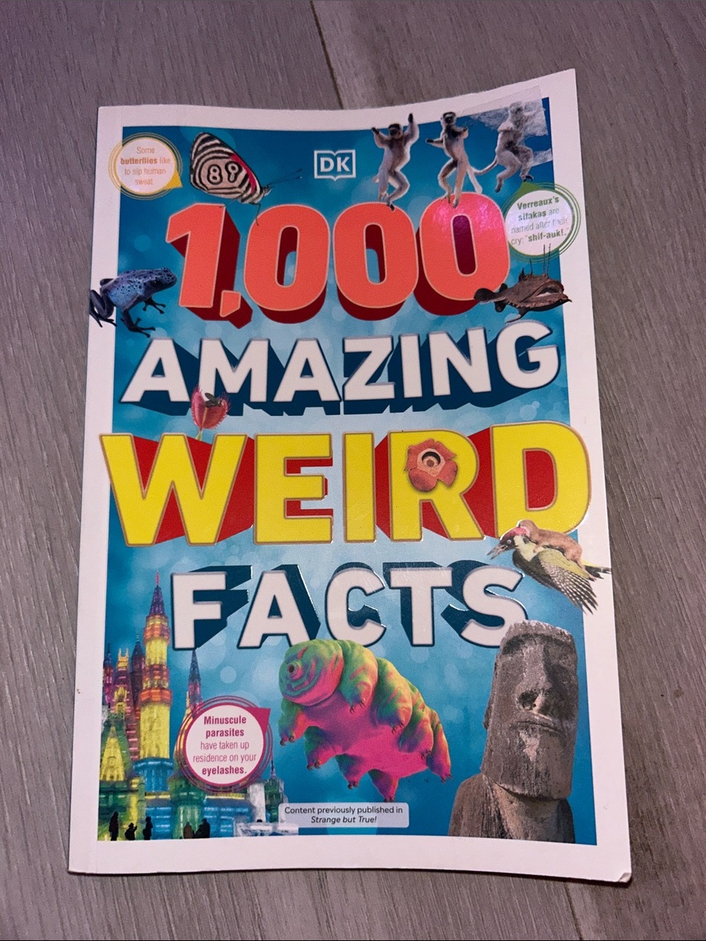DK 1,000 Amazing Weird Facts Book - Blue & Yellow Cover